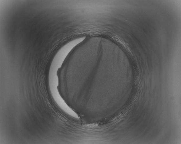 X0000082150689200702162209