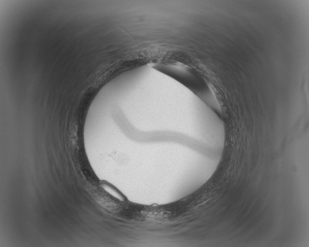 X0000082150693200702162209