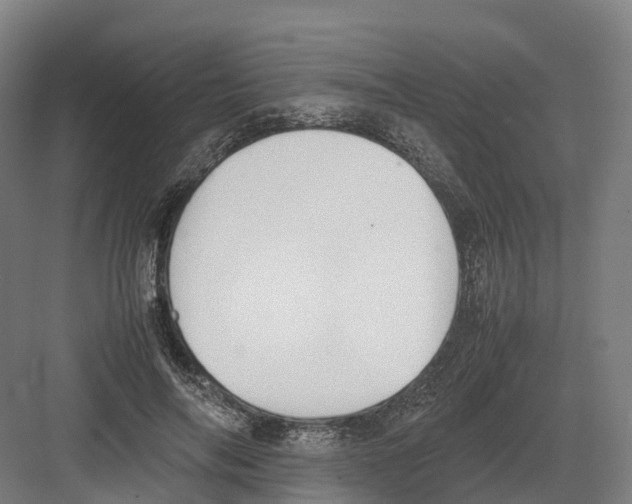 X0000082150694200702162209