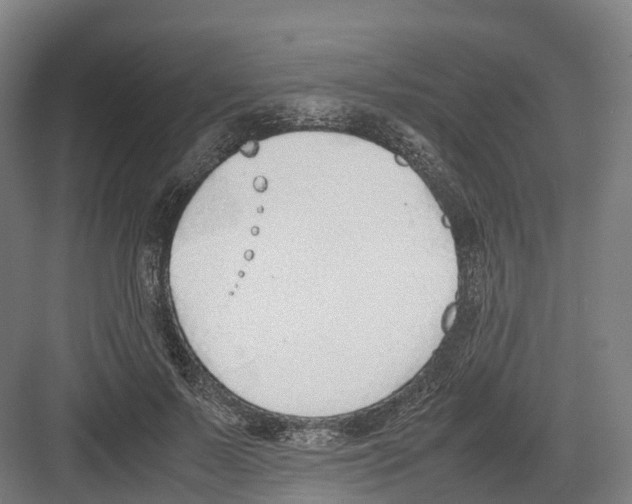 X0000082150695200702162209