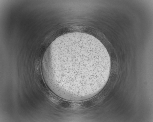 X0000082150701200702162209