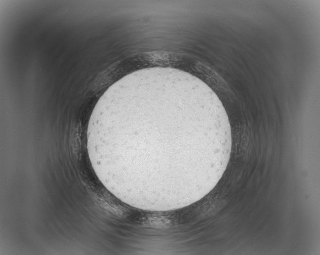 X0000082150702200702162209