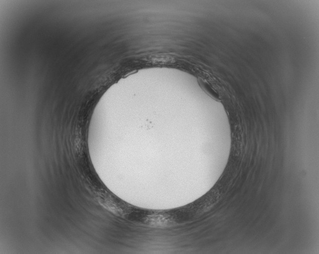 X0000082150704200702162209