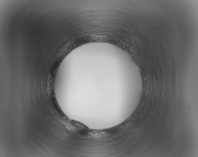 X0000082150712200702162209