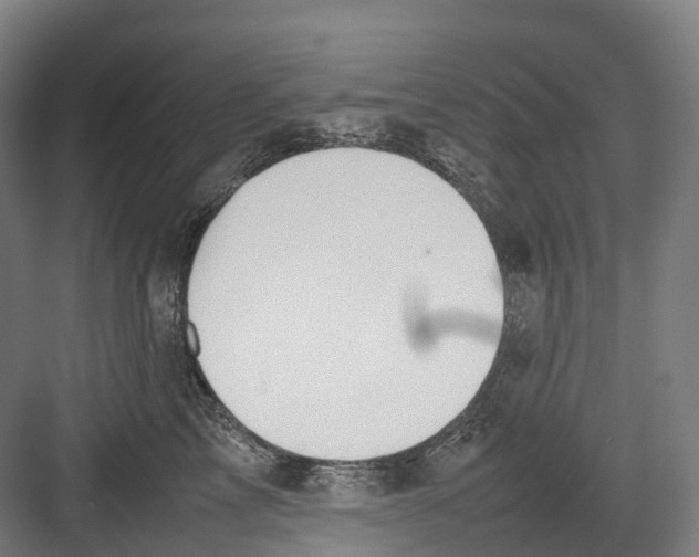 X0000082150713200702162209