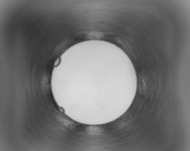 X0000082150714200702162208