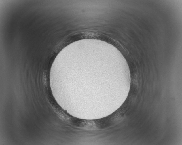 X0000082150715200702162208