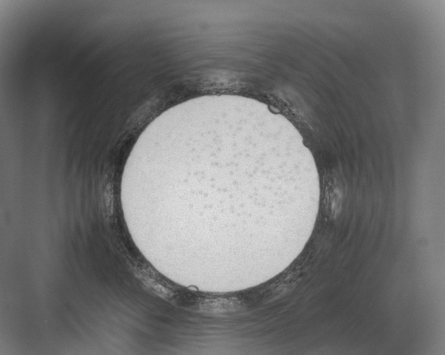 X0000082150716200702162208