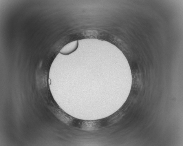 X0000082150717200702162208