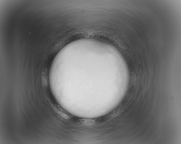 X0000082150719200702162208