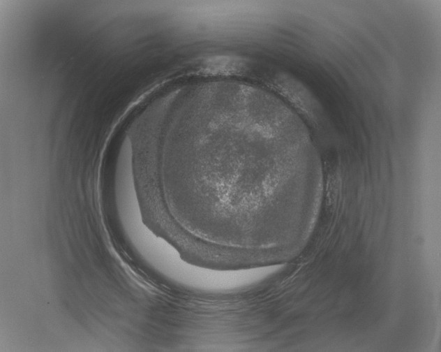 X0000082150722200702162208