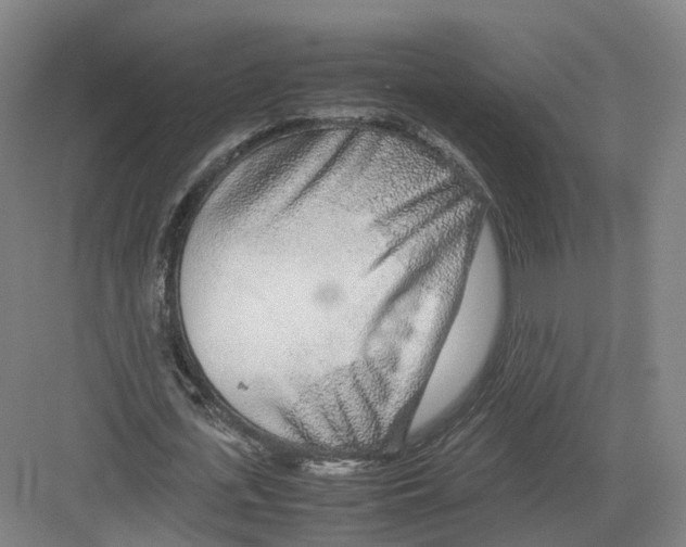 X0000082150723200702162208