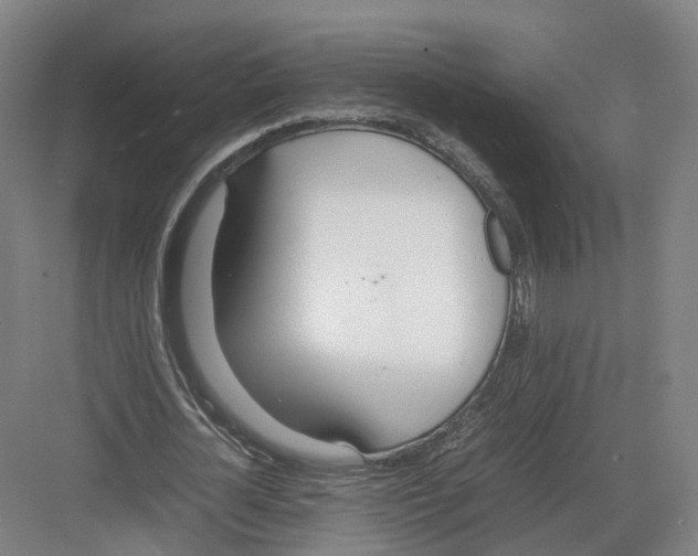 X0000082150724200702162208