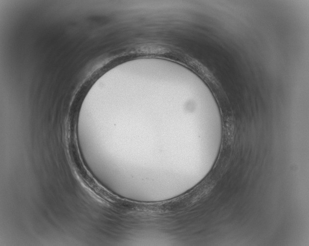 X0000082150726200702162208