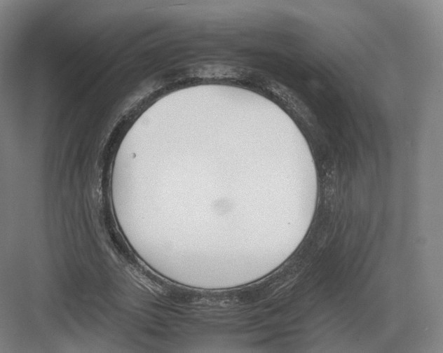 X0000082150727200702162208