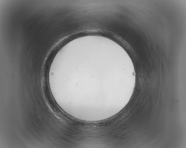 X0000082150728200702162208