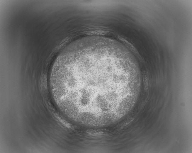 X0000082150729200702162208