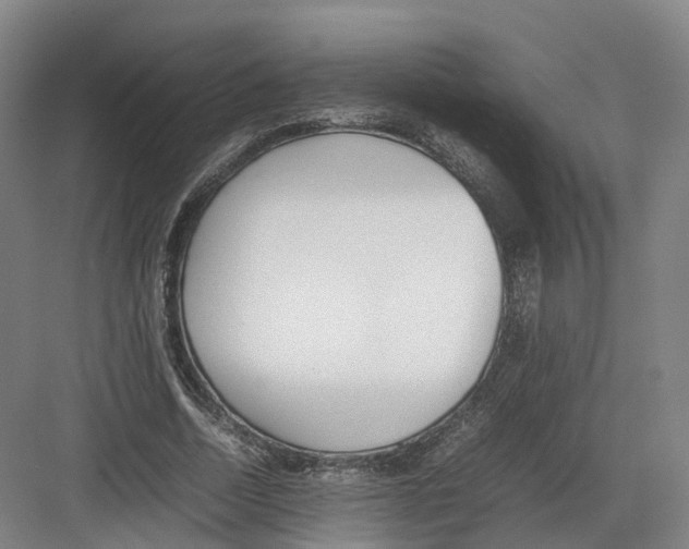 X0000082150730200702162208