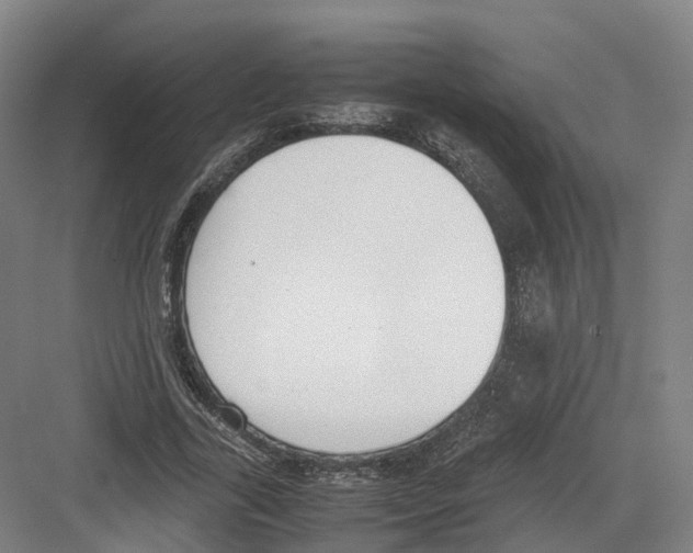 X0000082150731200702162208