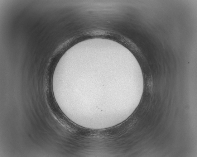 X0000082150732200702162208