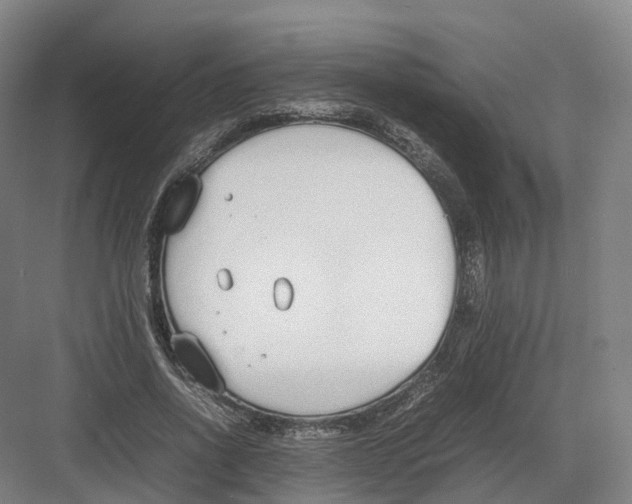 X0000082150734200702162208