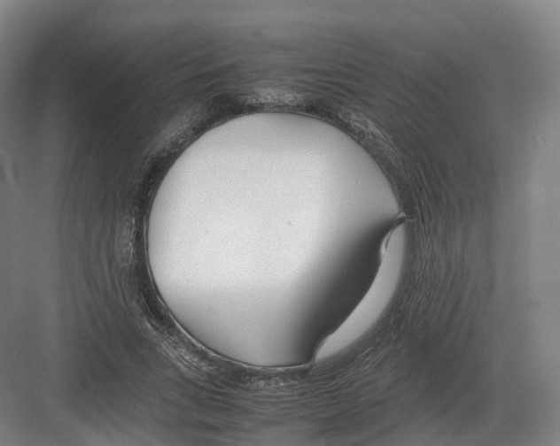 X0000082150735200702162208