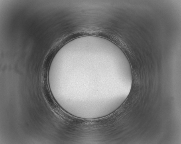 X0000082150736200702162208