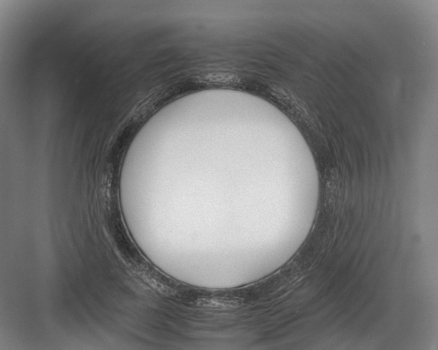 X0000082150739200702162208