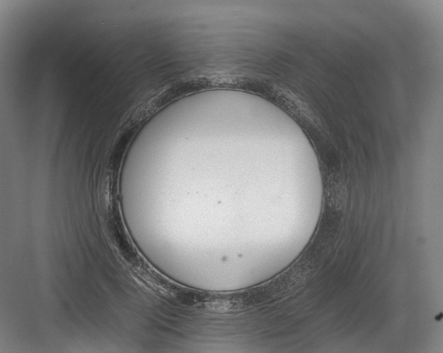 X0000082150740200702162208