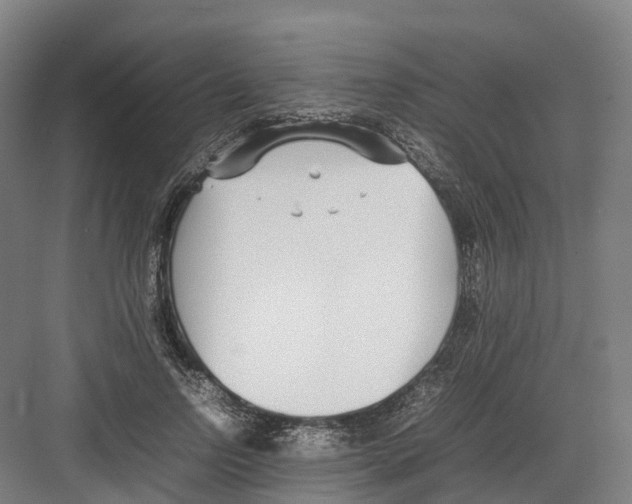 X0000082150742200702162208