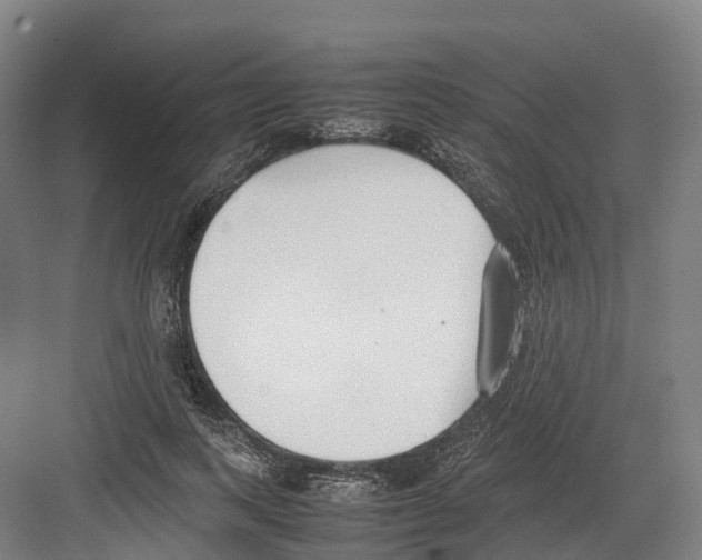 X0000082150743200702162208