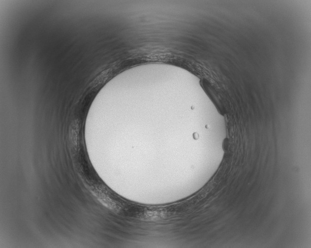 X0000082150744200702162208