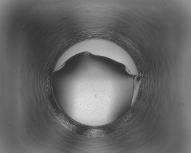 X0000082150748200702162208