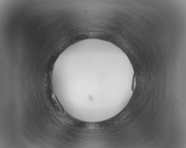 X0000082150750200702162208