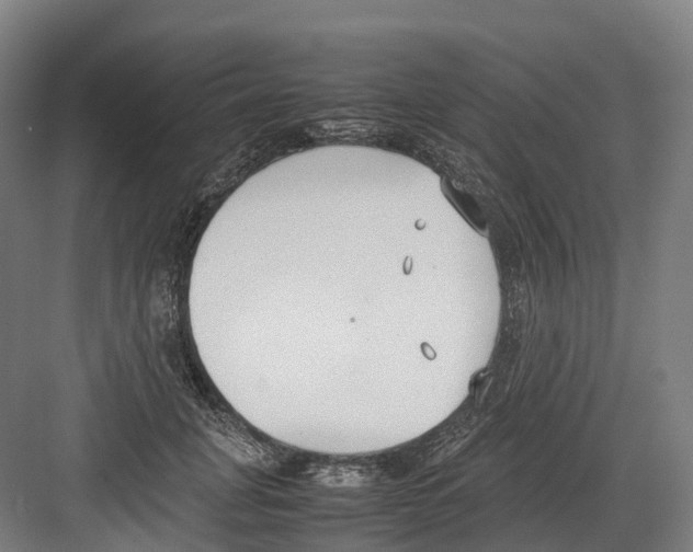 X0000082150751200702162208