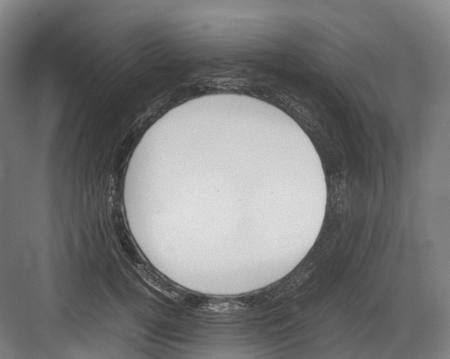 X0000082150752200702162208