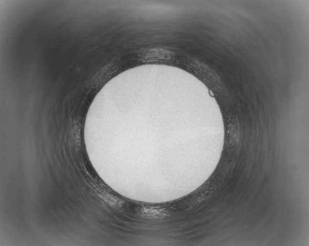 X0000082150753200702162208