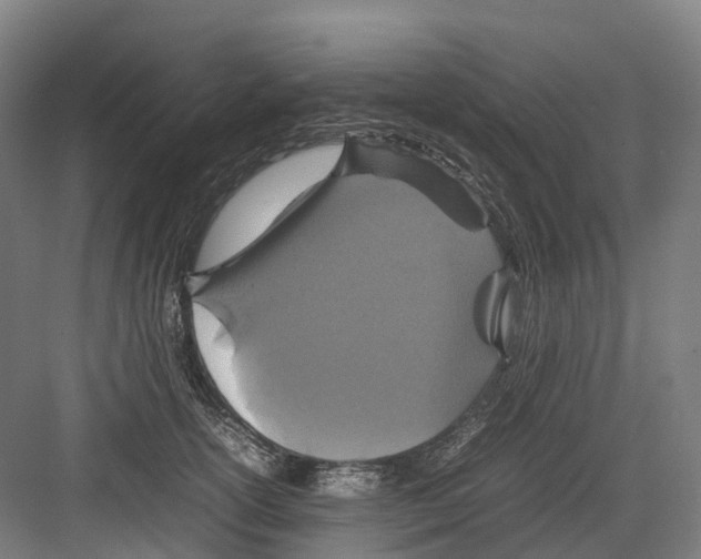 X0000082150754200702162208