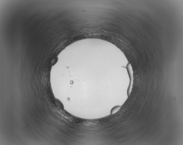 X0000082150756200702162208