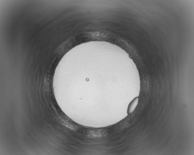 X0000082150757200702162208