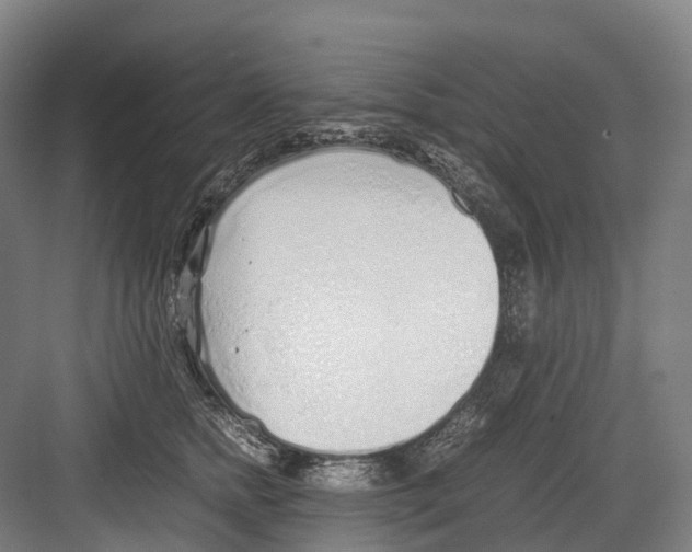 X0000082150758200702162208