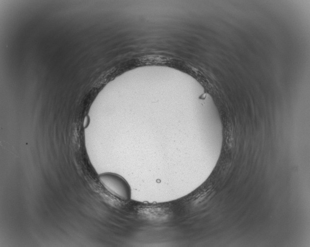 X0000082150759200702162208