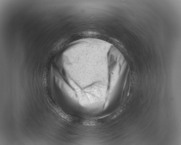 X0000082150762200702162208