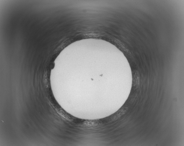 X0000082150764200702162208