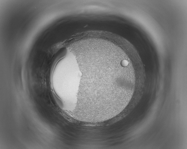 X0000082150765200702162208