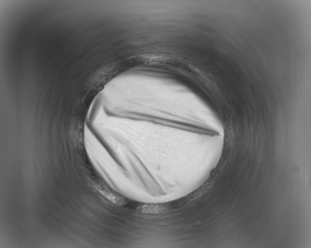 X0000082150766200702162208