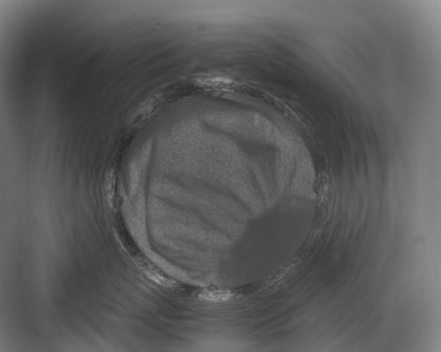 X0000082150767200702162208