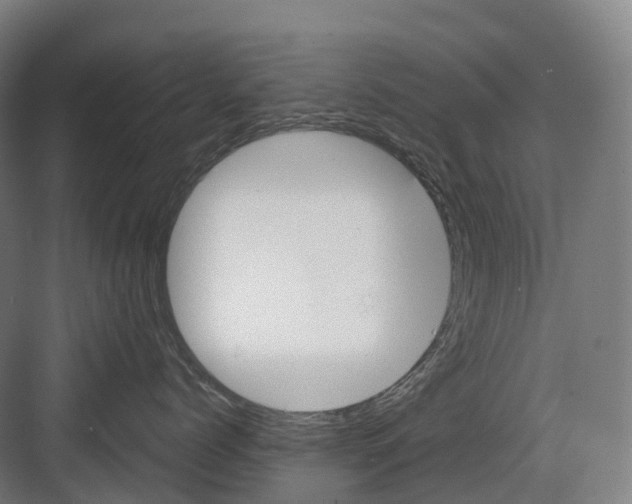 X0000082150768200702162208