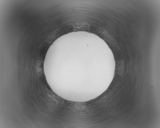 X0000082150770200702162208