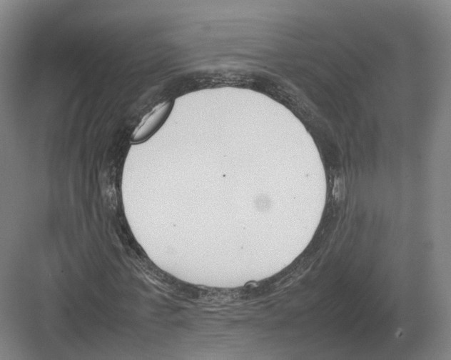 X0000082150771200702162208